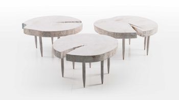 Beistelltisch Brühl aus Holz in Weiß Couchtisch Tisch Hammersvik 61876 Buche massiv weiß geseift, Baumstamm Scheibe