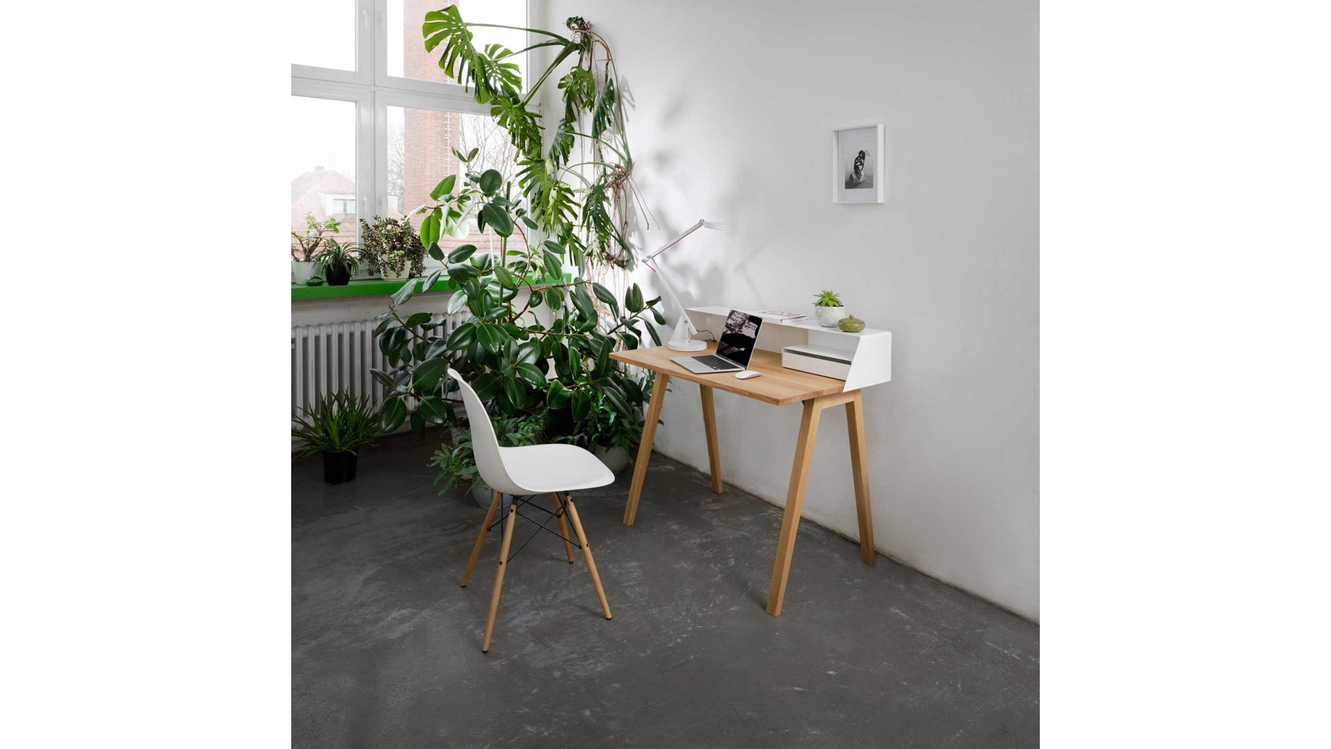 Sekretär Müller möbelfabrikation aus Holz in Holzfarben Grau Sekretär, Schreibtisch PS 04-E-86-04 Lackierung RAL 9003 seidenmatt, Platte & Gestell Eiche geölt